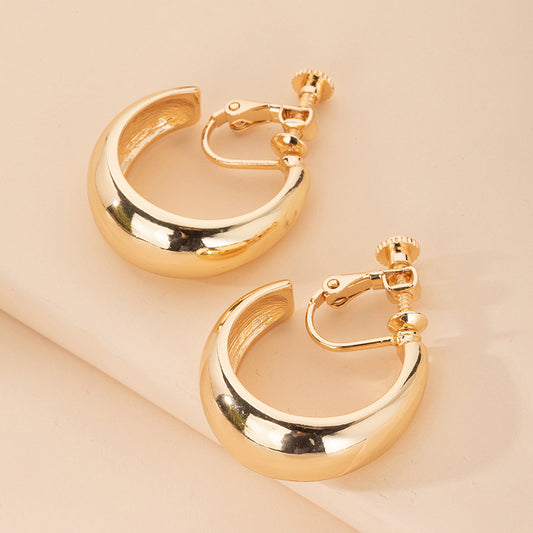 Frosty Alloy Exaggerated Hoop Earrings