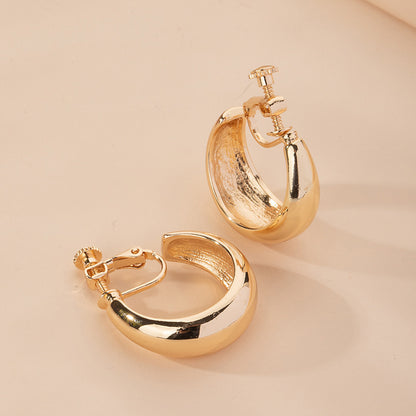 Frosty Alloy Exaggerated Hoop Earrings